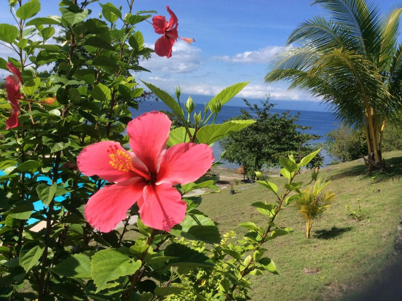 Cuestas Beach Resort And Restaurant Badian Eksteriør bilde